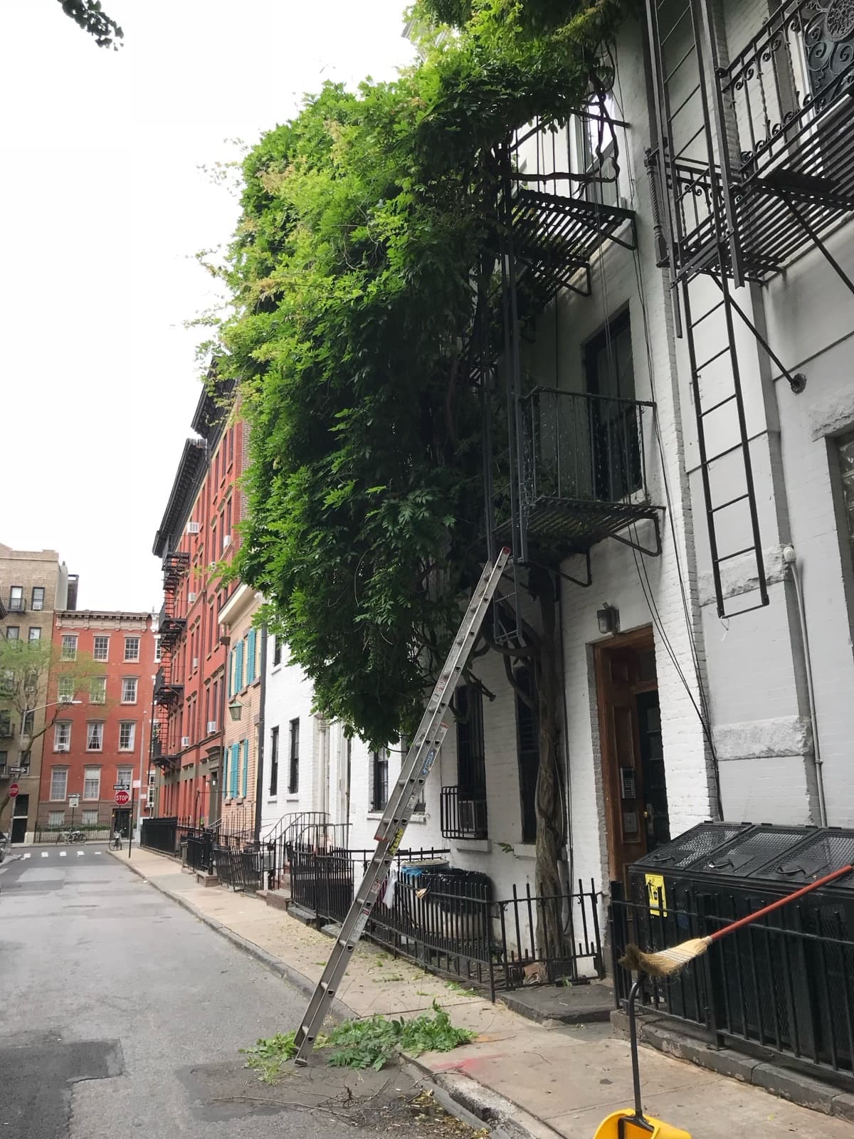 Gay Street, June 6, 2018
