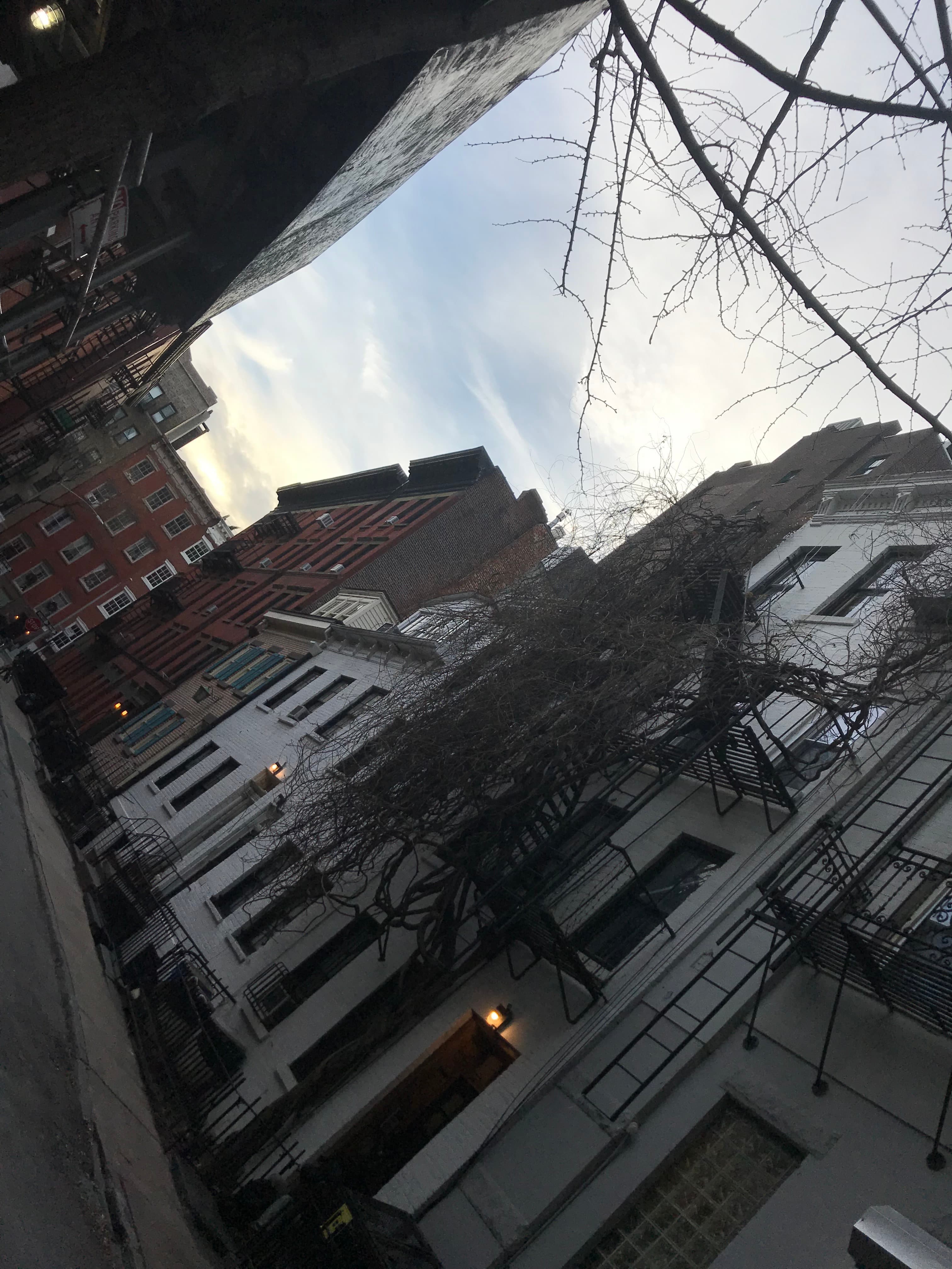 Gay Street at dusk on December 19, 2018, days after Celeste Martin's death — looking up the block past the white townhouses, bare trees, and glowing street lamps