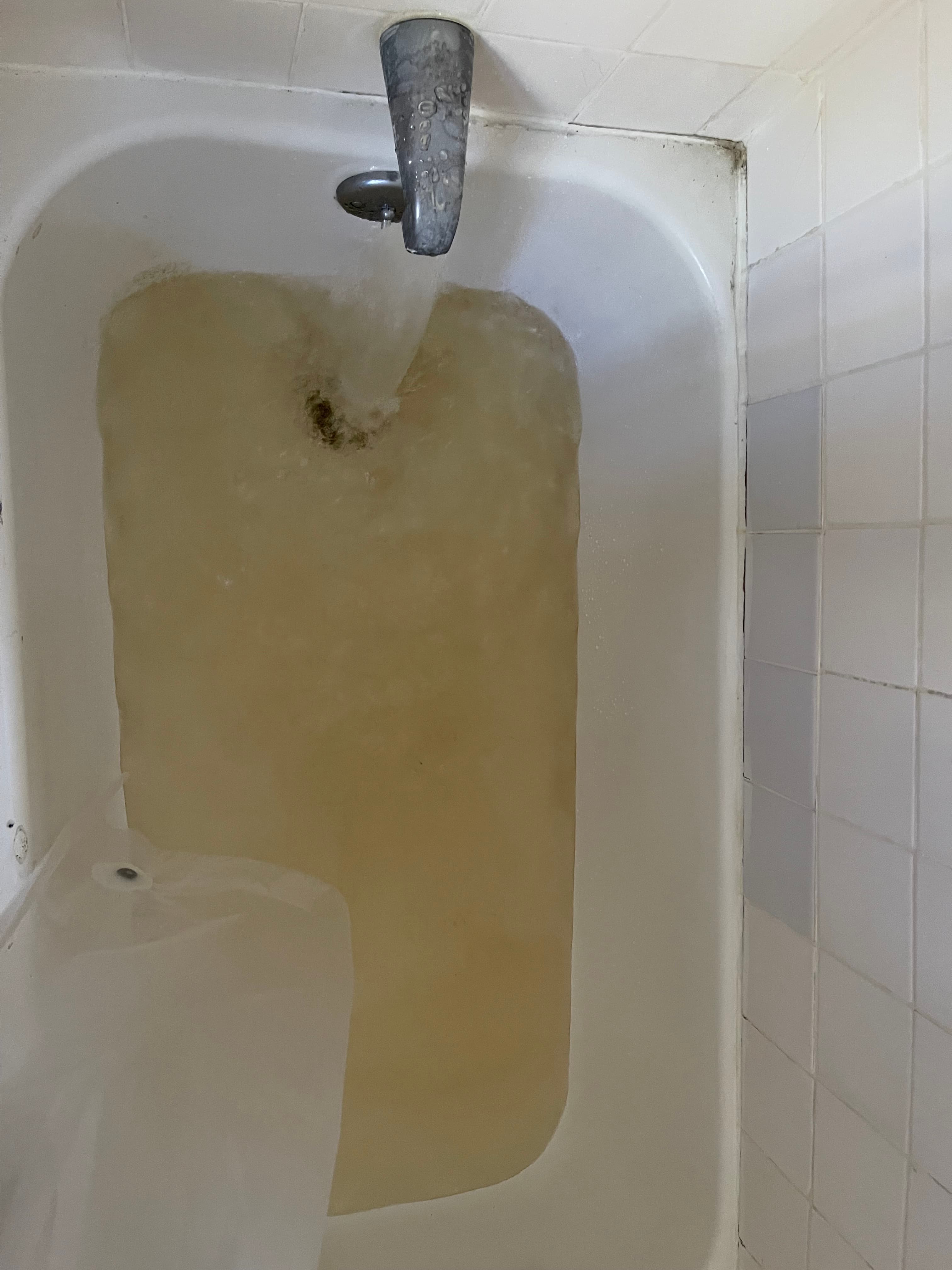 Dirty, discolored water in the bathtub at 18 Gay Street, October 29, 2022