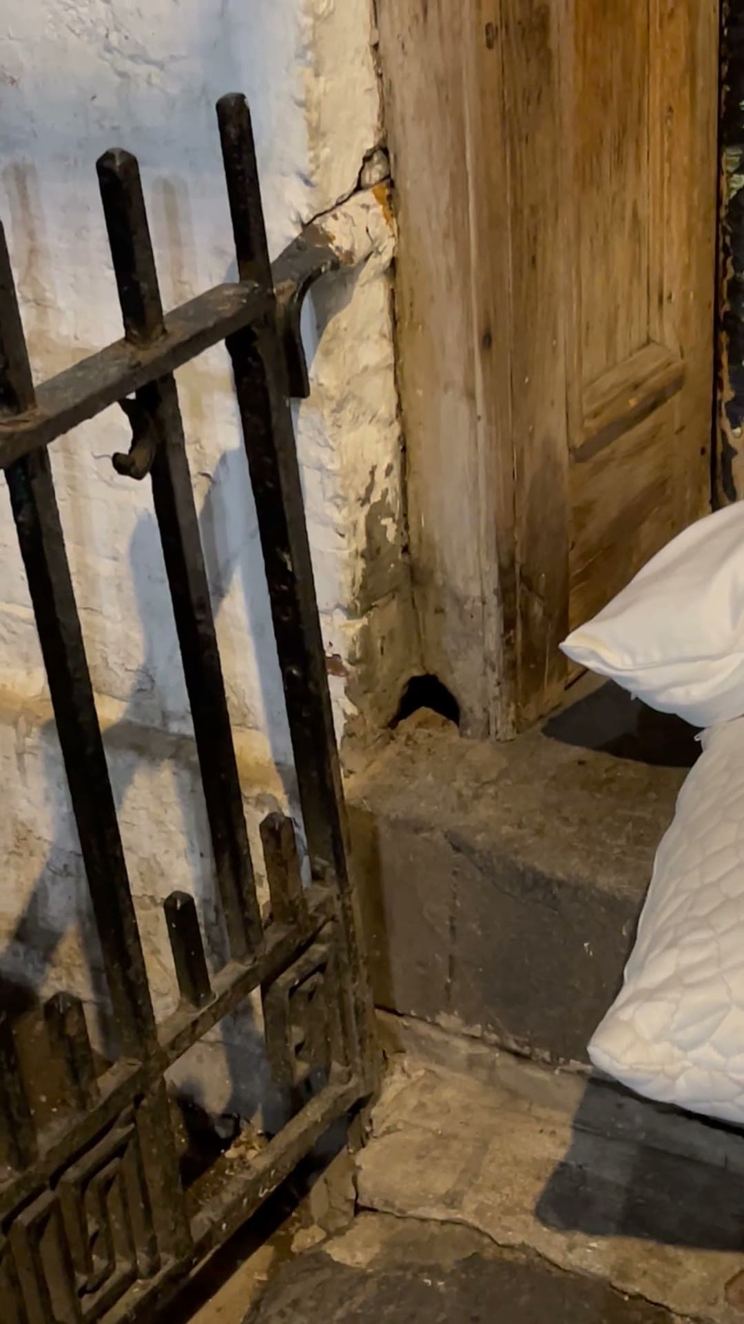 Video frame of the crumbling under-stoop doorway at 18 Gay Street — a rusted railing, white garbage bags, and a rat at the base of the weathered wooden door, April 3, 2023