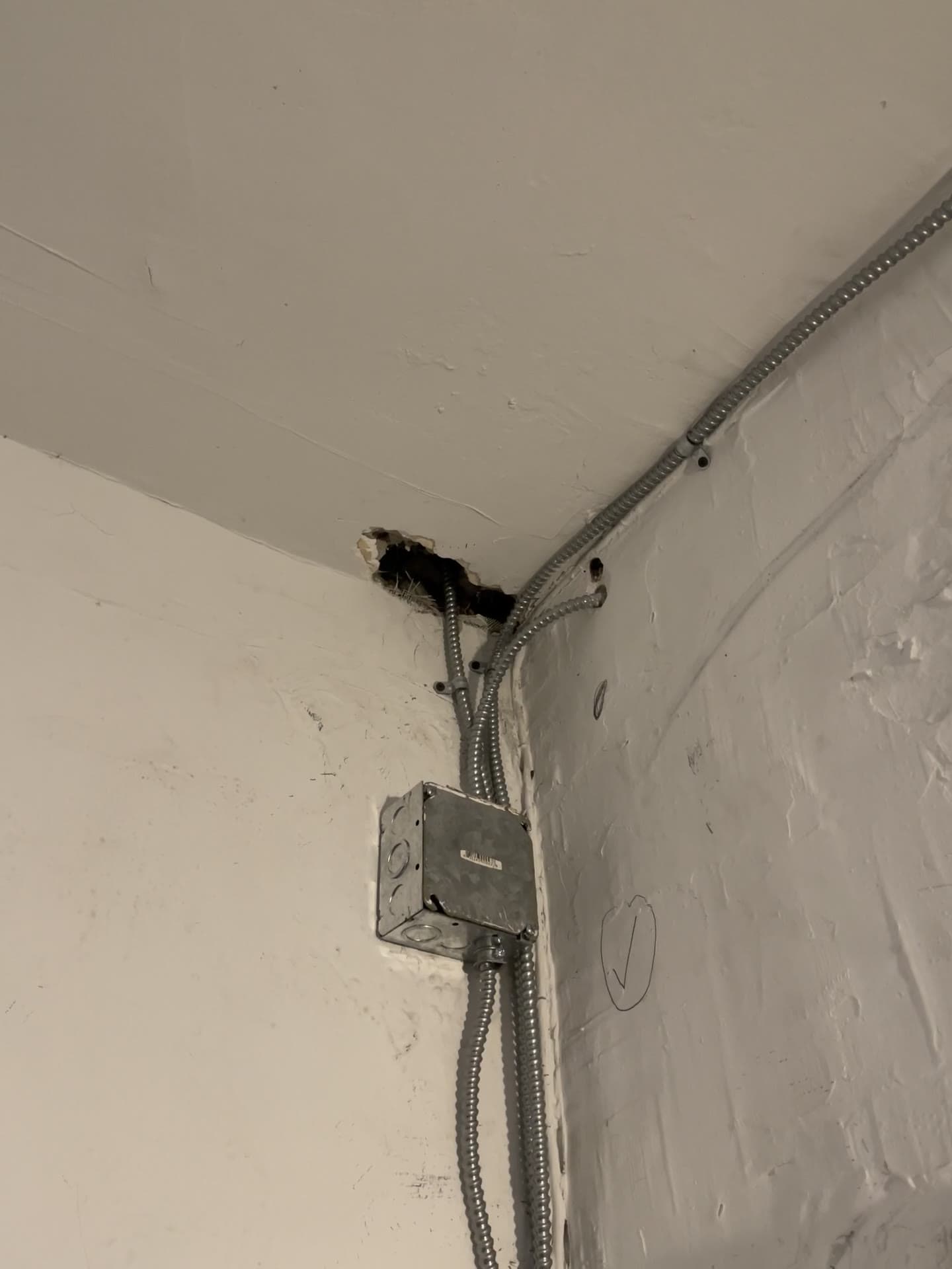 Exposed electrical wiring in the interior of 18 Gay Street, November 2023