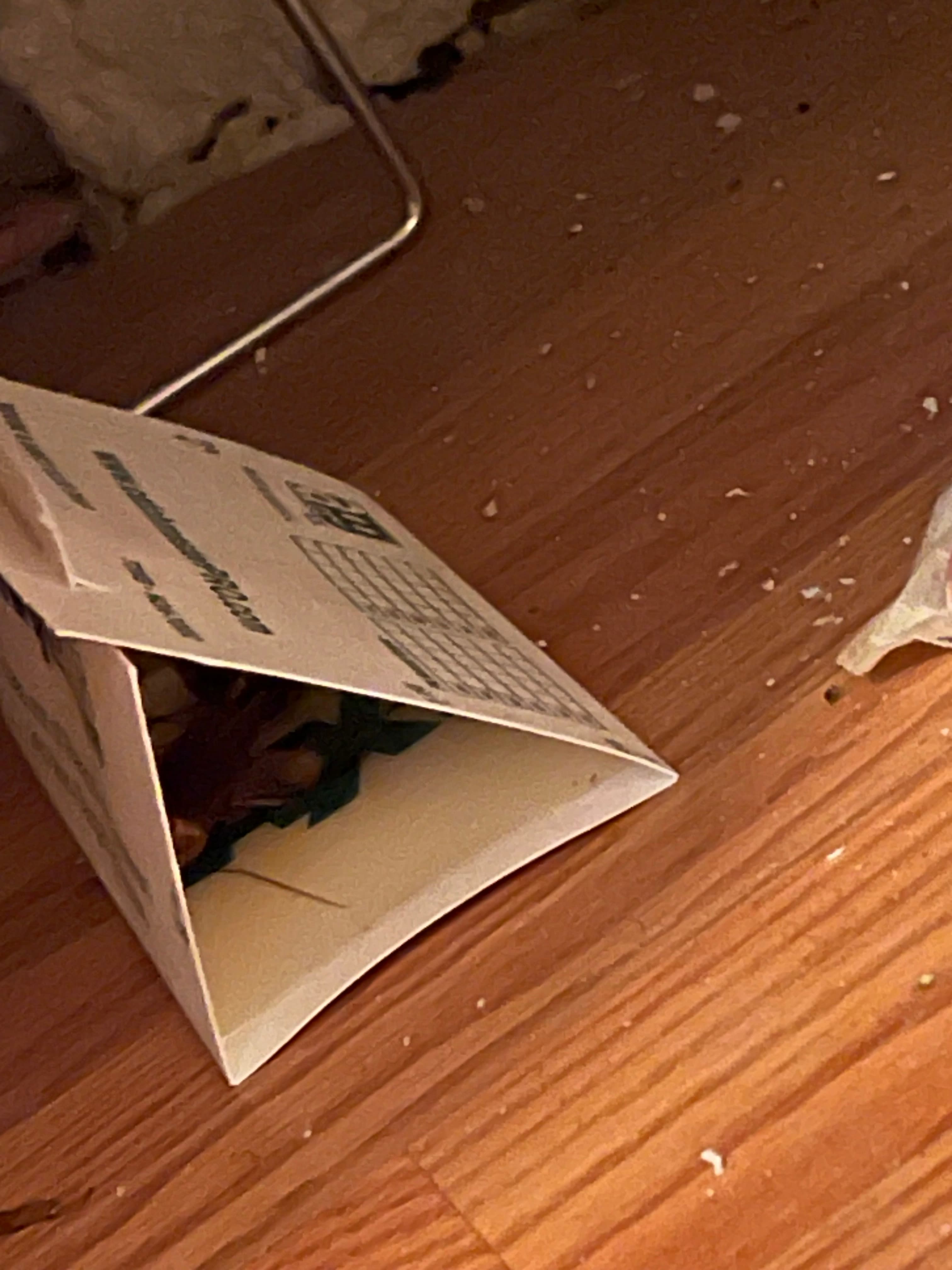 Rodent droppings, torn glue traps, and damaged packaging inside 18 Gay Street, December 15, 2023